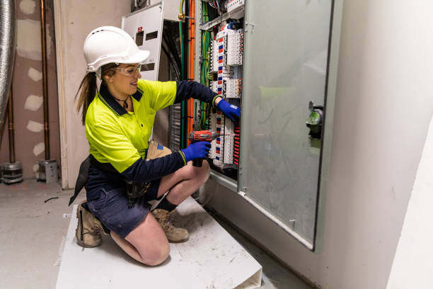Best Electric Panel Repair  in Seco Mines, TX